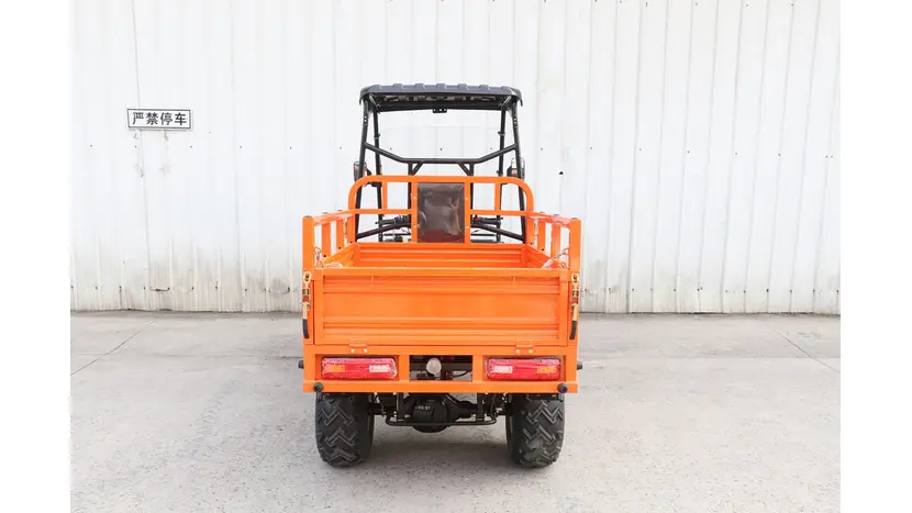 Вантажний квадроцикл Renegade ATW-300CC-R фото 3 купити в Україні
