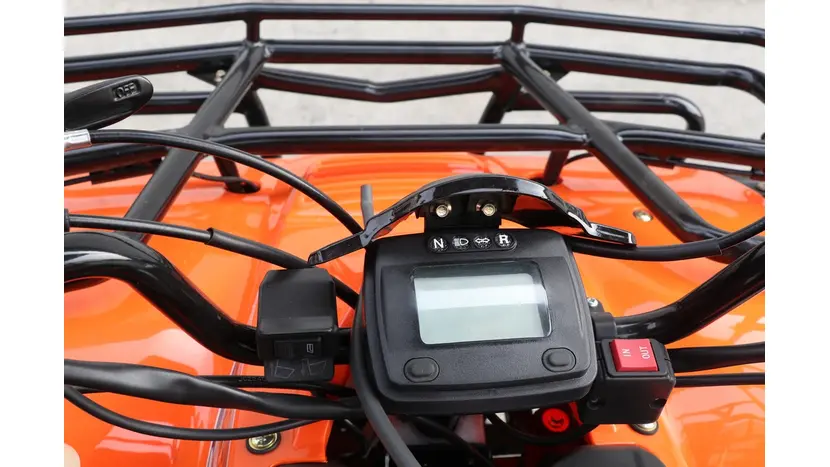 Вантажний квадроцикл Renegade ATW-300CC-R фото 4 купити в Україні