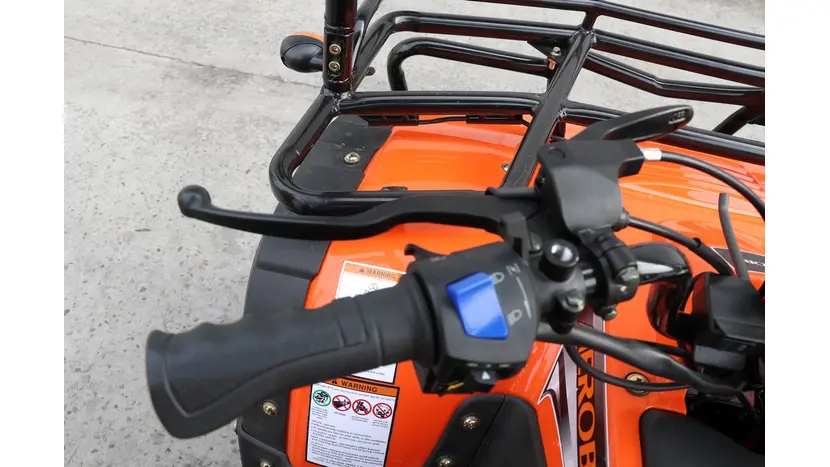 Вантажний квадроцикл Renegade ATW-300CC-R фото 5 купити в Україні