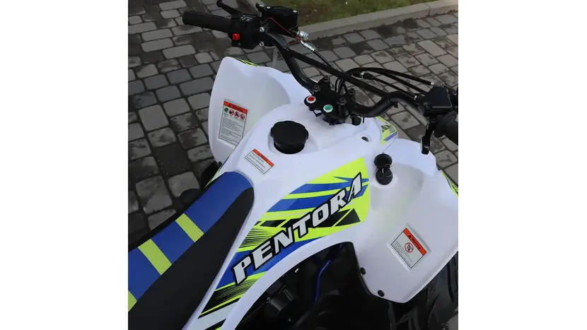 Квадроцикл Exdrive Pentora 125cc фото 8 купити в Україні