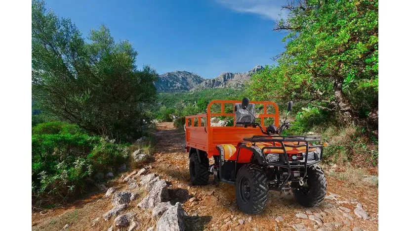 Вантажний квадроцикл Renegade ATW-300CC фото 27 купити в Україні