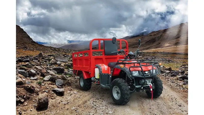 Вантажний квадроцикл Renegade ATW-300CC фото 28 купити в Україні