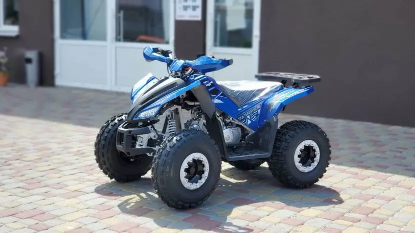 Квадроцикл Comman Reval 125cc фото 9 купити в Україні