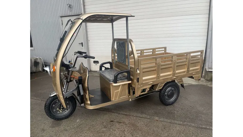 Електротрицикл Renegade ATE-1000W фото 10 купити в Україні