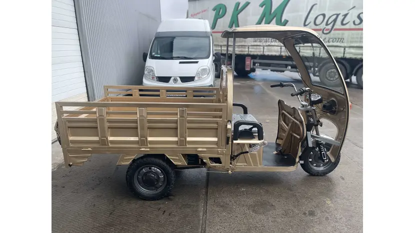 Електротрицикл Renegade ATE-1000W фото 23 купити в Україні