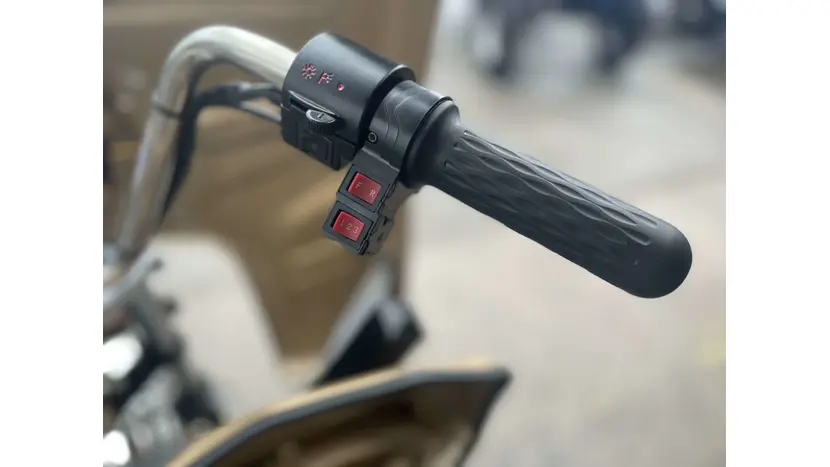 Електротрицикл Renegade ATE-1000W фото 26 купити в Україні