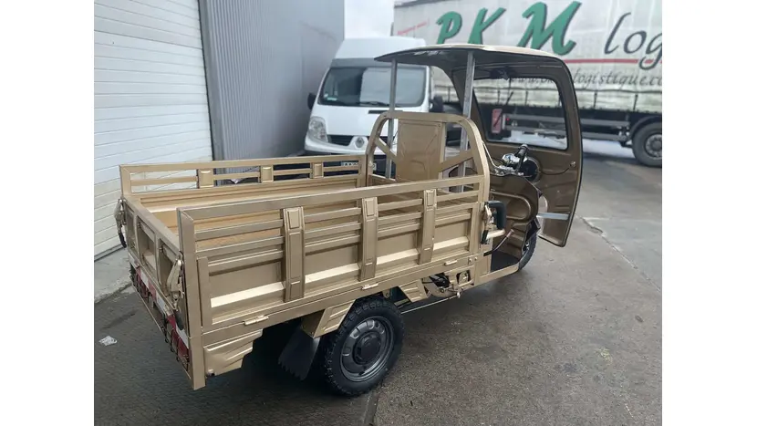 Електротрицикл Renegade ATE-1000W фото 34 купити в Україні