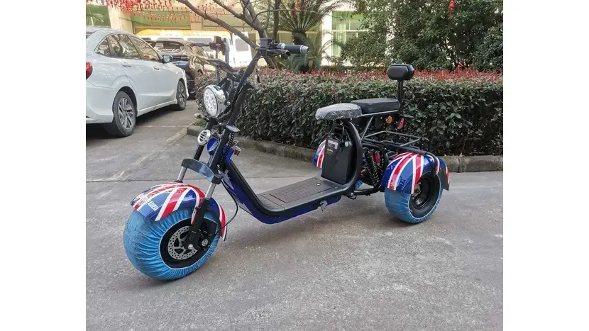 Електроскутер триколісний (трицикл) Motoleader Citycoco ML2000E 2000W (двомісний) фото 2 купити в Україні