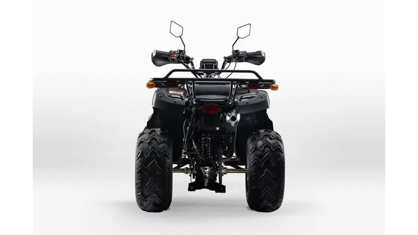 Квадроцикл FORTE ATV200BS, фото фото 4