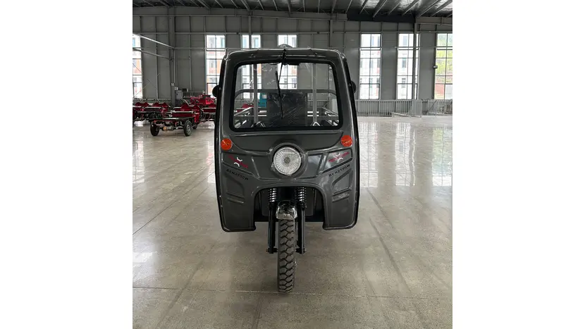Электрический грузовой мотоцикл Renegade ATE-2500 72V/45Ah/2500W, фото фото 5