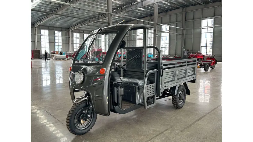 Электрический грузовой мотоцикл Renegade ATE-2500 72V/45Ah/2500W, фото фото 2