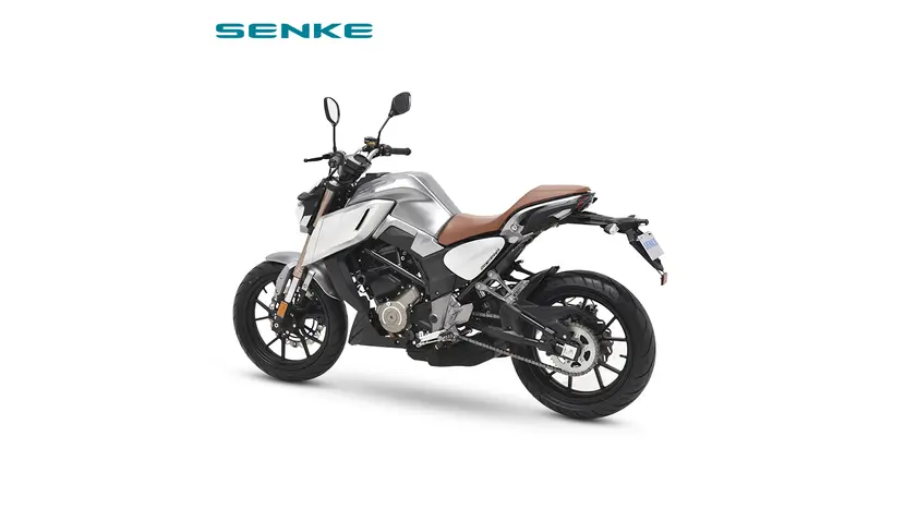 Мотоцикл Senke SK250-k фото 2 купити в Україні