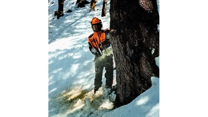 Бензопила STIHL MS 462 (11422000001) фото 11 купити в Україні