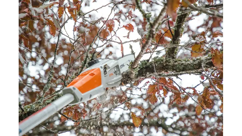 Висоторіз акумуляторний STIHL HTA50 (LA020116404) фото 5 купити в Україні