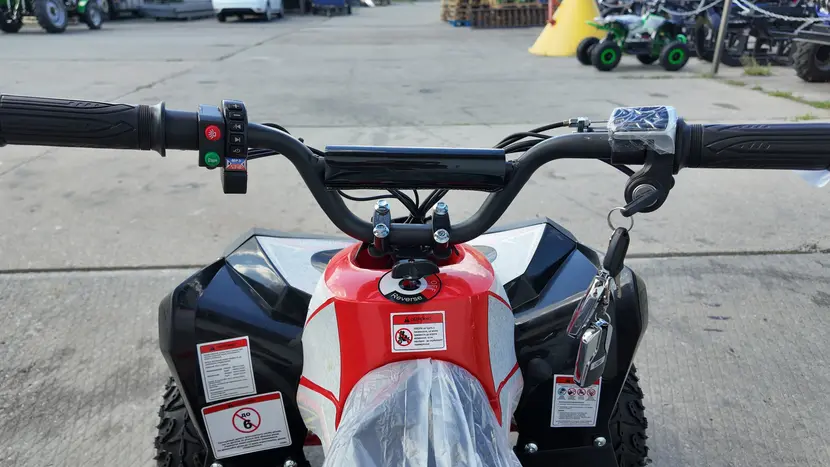Электроквадроцикл Forte ATV1200QB (красный), фото фото 11