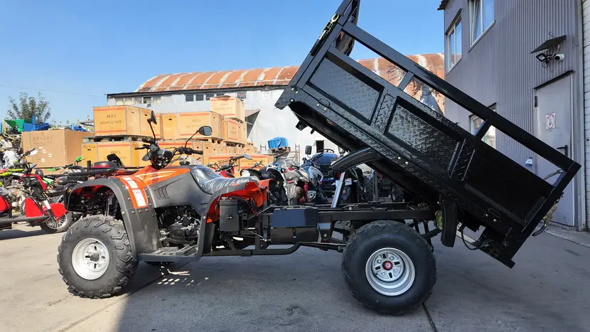 Вантажний квадроцикл Renegade ATW-300CC-R (самоскид) фото 20 купити в Україні