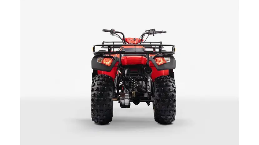 Квадроцикл Forte ATV-250BS PRO, фото фото 2