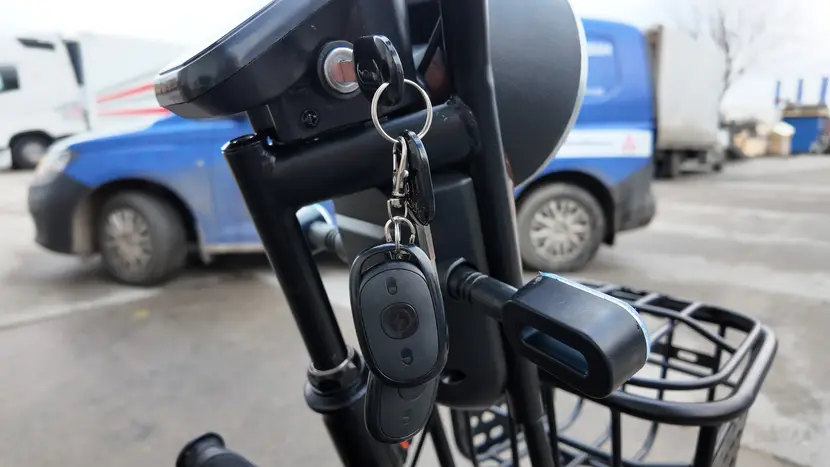 Електротрайк FADA OLDi (триколісний електроскутер) коричневий фото 19 купити в Україні