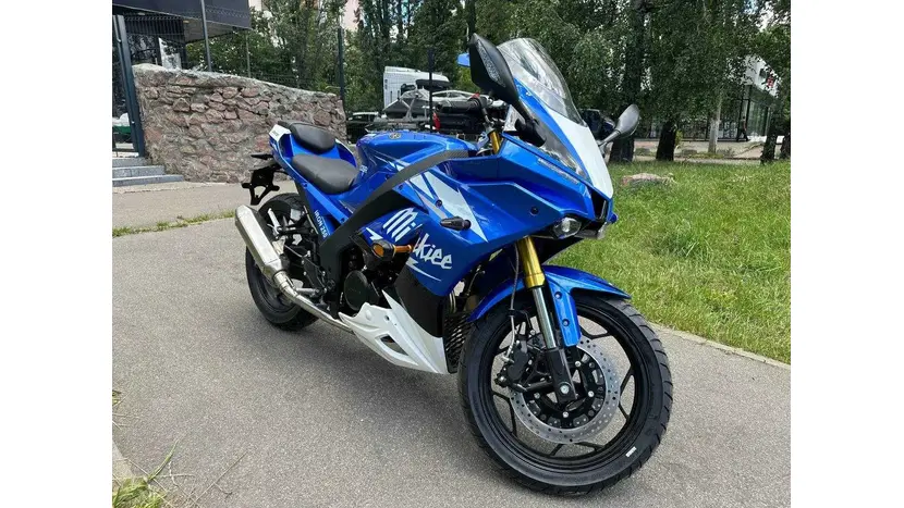 Мотоцикл RIDER IRON 250CC (Синій) фото 2 купити в Україні