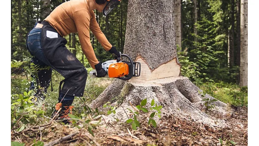Бензопила STIHL MS 363 40см (MB012000093) фото 3 купити в Україні