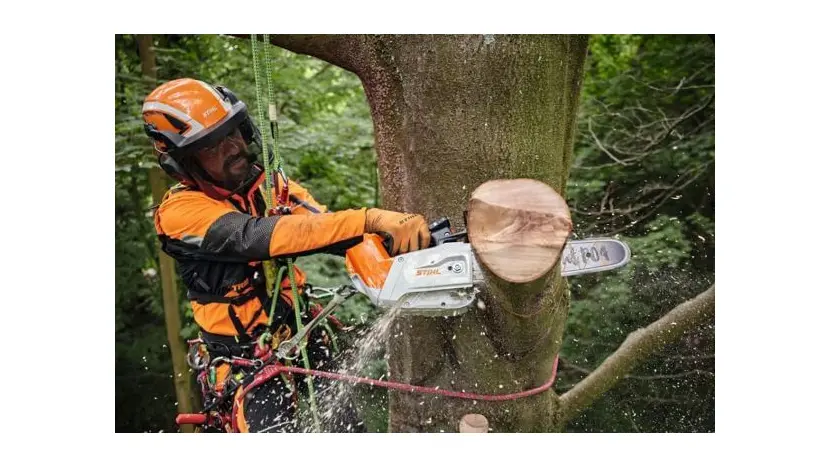 Акумуляторна пилка STIHL MSA 190 T (MA052000001) фото 3 купити в Україні