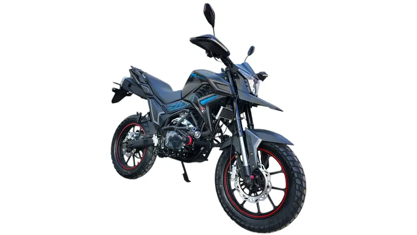 Мотоцикл Spark SP300T-2 (TEKKEN 300 dual sport)  купити в Україні