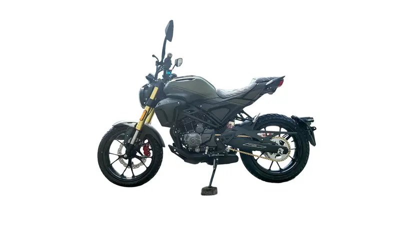 Мотоцикл Spark SP300SC-1 Scrambler фото 2 купити в Україні