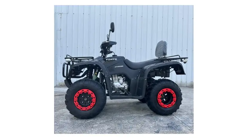 Квадроцикл FORTE ATV-250BS Черный, фото фото 3