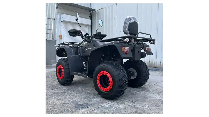 Квадроцикл FORTE ATV-250BS Черный, фото фото 6