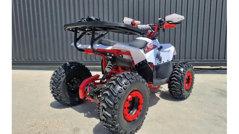 Квадроцикл SokMoto 110B фото 11 купити в Україні