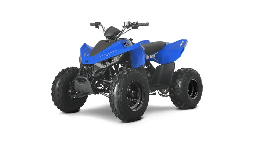 Квадроцикл Linhai ATV 110 фото 2 купити в Україні