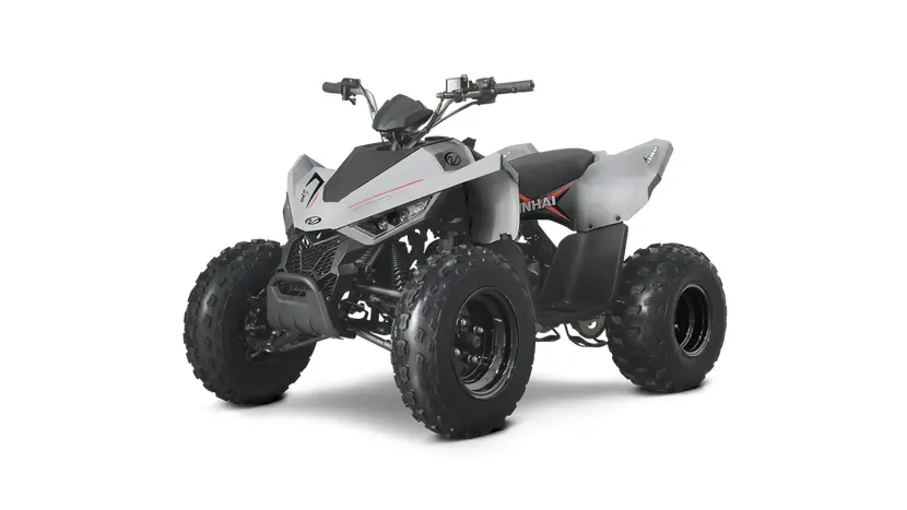 Квадроцикл Linhai ATV 110 фото 3 купити в Україні