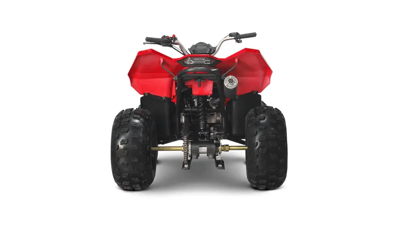Квадроцикл Linhai ATV 110 фото 6 купити в Україні