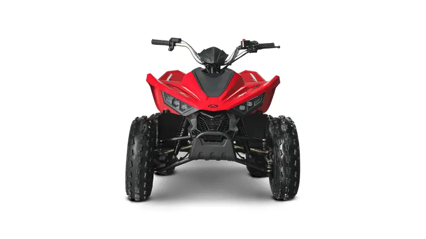 Квадроцикл Linhai ATV 110 фото 7 купити в Україні