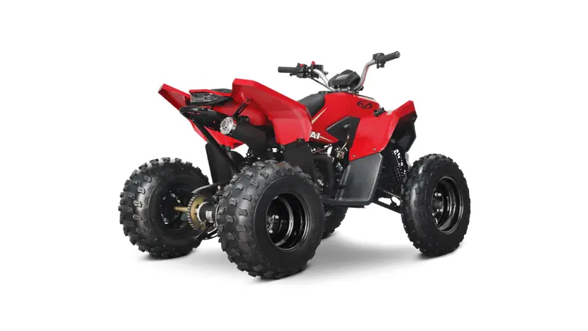 Квадроцикл Linhai ATV 110 фото 8 купити в Україні