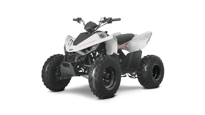 Квадроцикл Linhai ATV 110 фото 9 купити в Україні