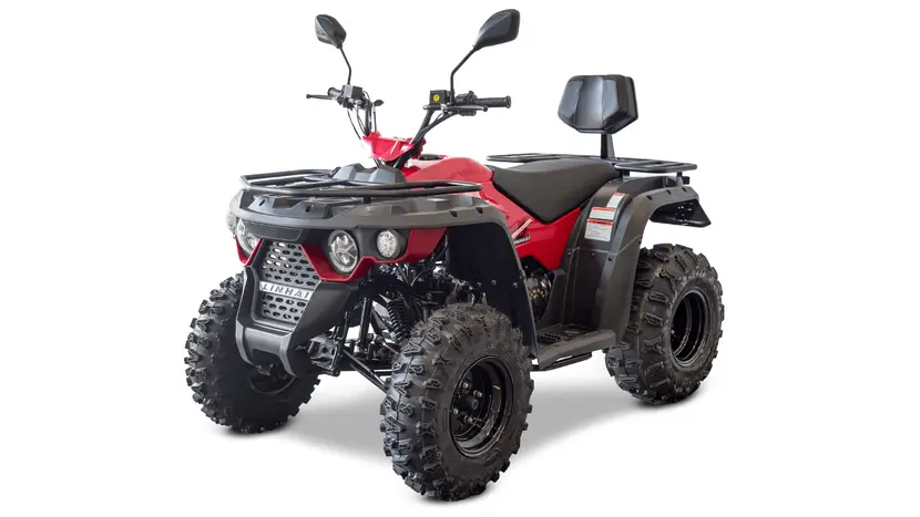 Квадроцикл Linhai M210 EFi фото 2 купити в Україні