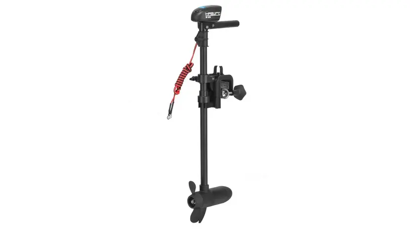 Электродвигатель Haswing W-20, фото фото 4