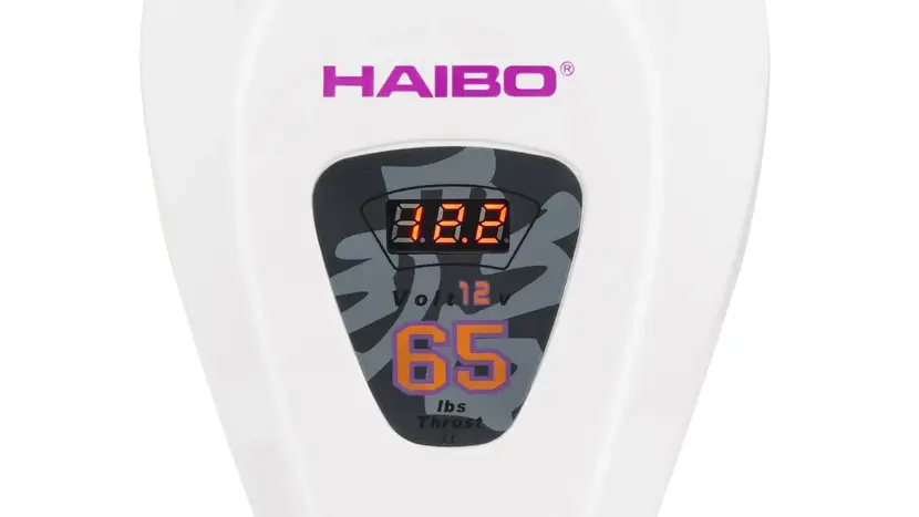 Электродвигатель Haibo D65, фото фото 7