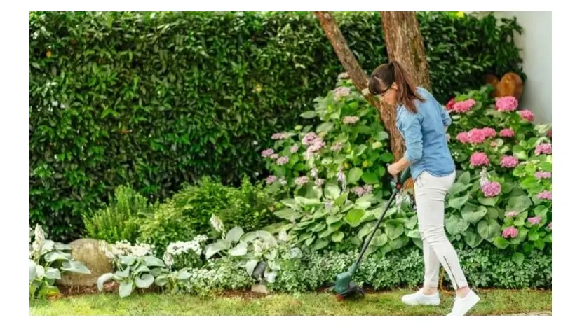 Тример акумуляторний Bosch UniversalGrassCut 18V-260 з АКБ та ЗП (0.600.8C1.D03) фото 4 купити в Україні