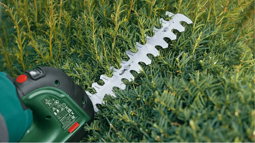 Ножницы для травы аккумуляторные Bosch AdvancedShear 18V-10 + насадка кусторез (0.600.857.000), фото фото 10