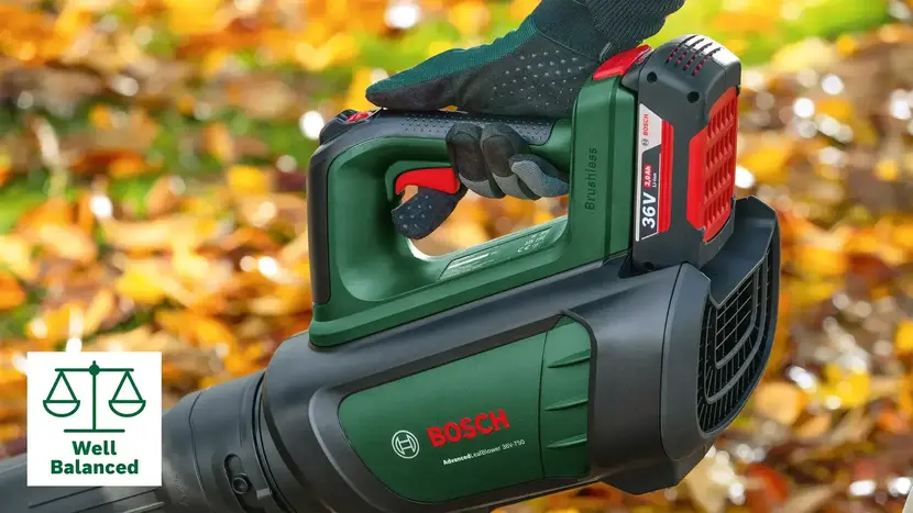 Воздуходувка садовая аккумуляторная Bosch AdvancedLeafBlower 36V-750 с АКБ и ЗП (0.600.8C6.000), фото фото 8