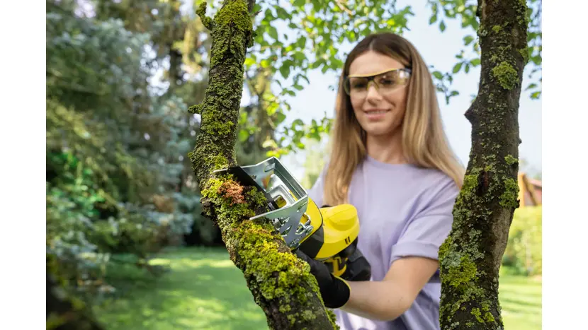 Пила шабельна акумуляторна Karcher PGS 4-18 без АКБ та ЗП фото 5 купити в Україні