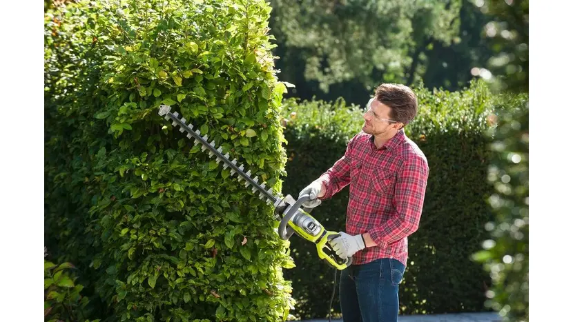 Кущоріз Ryobi RHT8165RL фото 3 купити в Україні