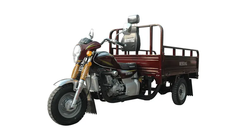 Вантажний мотоцикл Musstang MT250-4V фото 3 купити в Україні