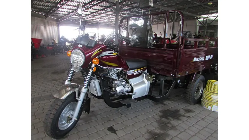 Вантажний мотоцикл Musstang MT200-4V фото 13 купити в Україні
