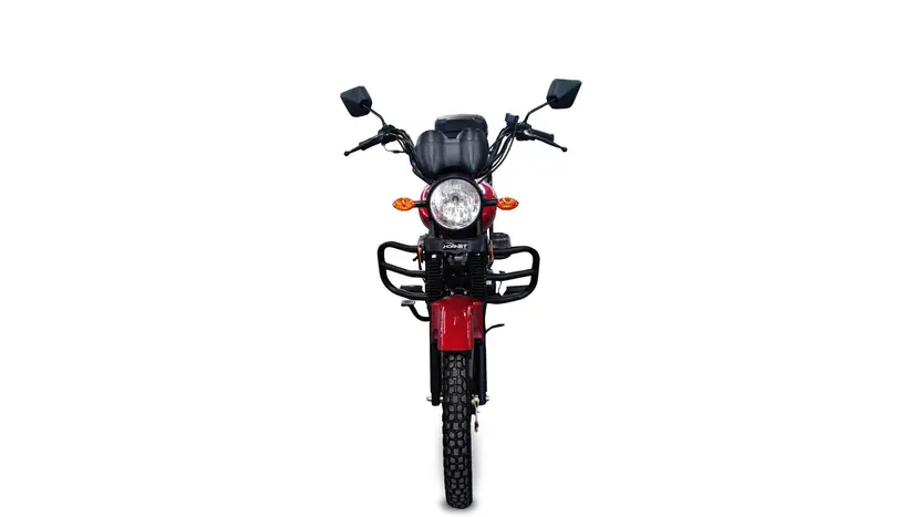Мотоцикл HORNET ALPHA (sport version) фото 6 купити в Україні