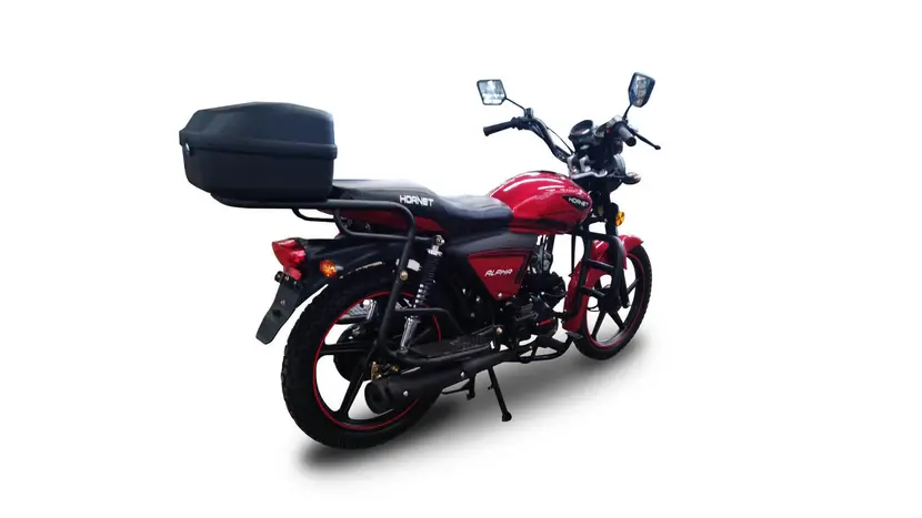 Мотоцикл HORNET ALPHA (sport version) фото 7 купити в Україні