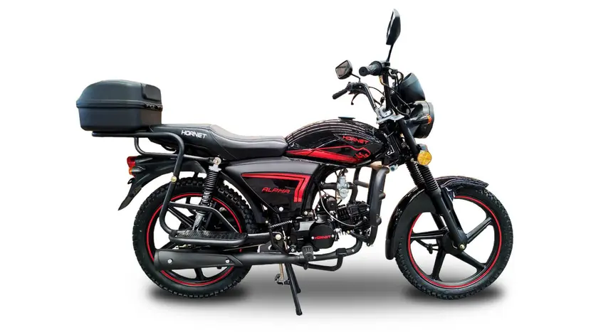 Мотоцикл HORNET ALPHA (sport version) фото 2 купити в Україні
