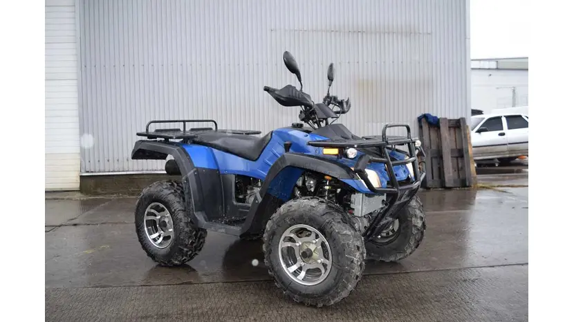 Квадроцикл Spark SP300-2 фото 2 купити в Україні
